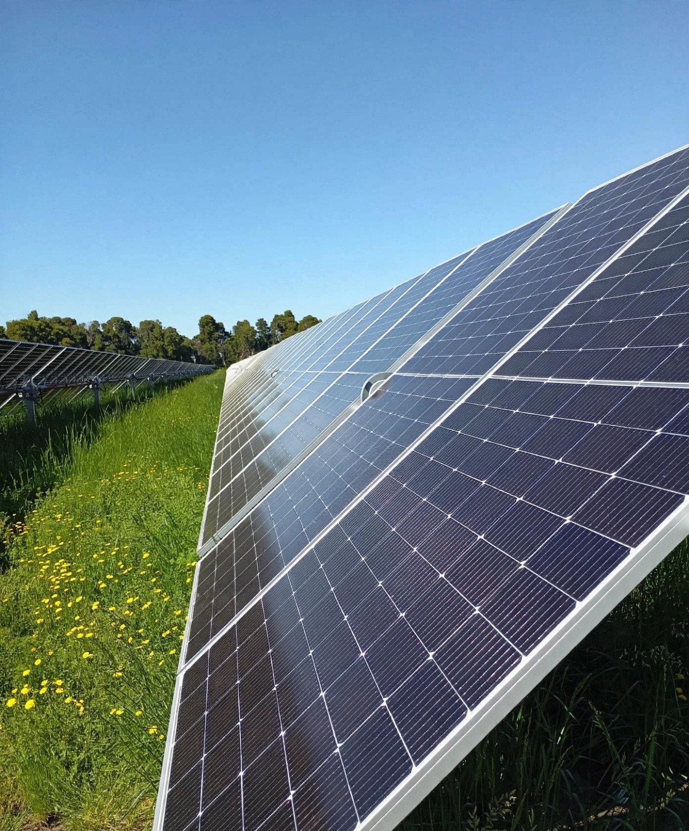 Parques solares